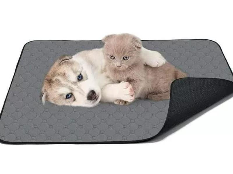  TAPETE PARA PERROS