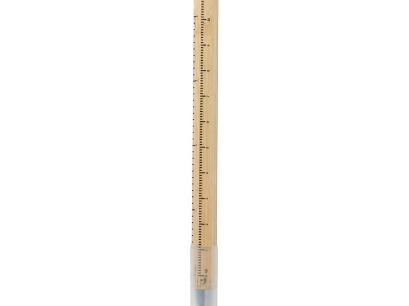  BOLIGRAFO RULER