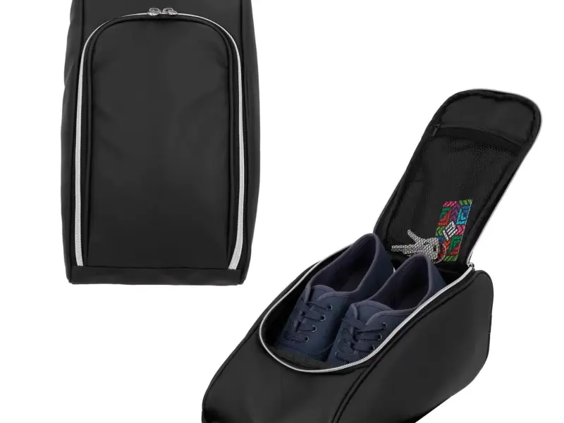  zapatera zap