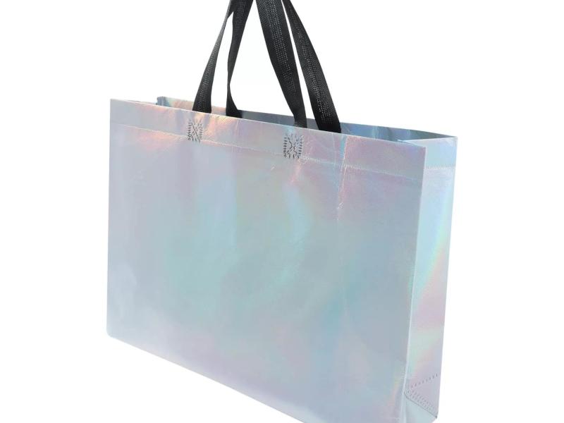  BOLSA CAMALEON